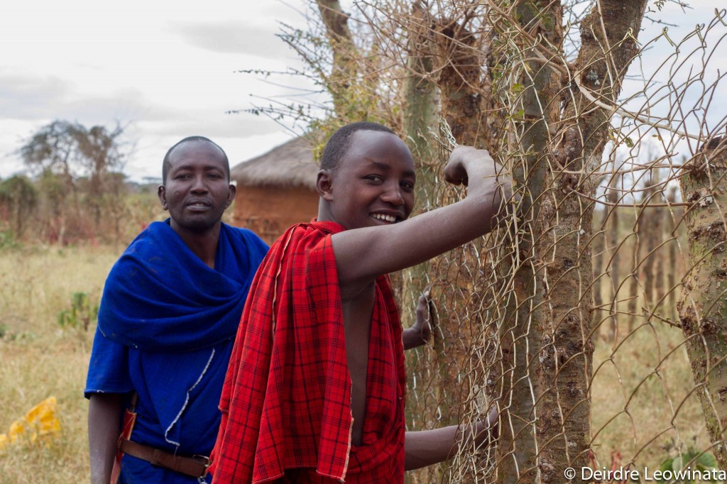 Living Walls and Maasai