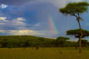 1797003_751685258177084_1844827646_o