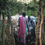 Felipe Rodriguez TPW 023_modified